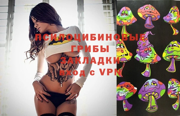 прущая мука Абаза