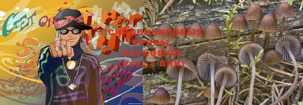 прущая мука Абаза