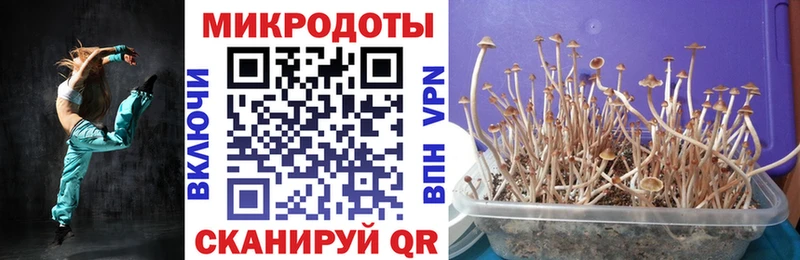 наркотики  blacksprut рабочий сайт  Галлюциногенные грибы мицелий  shop формула  Новопавловск 